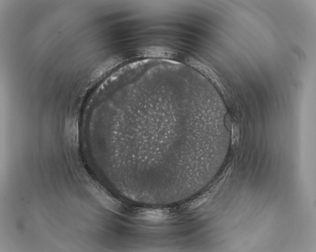 X0000111370349200908211323
