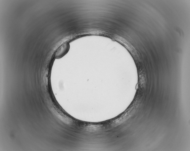 X0000111370350200908211323