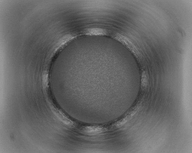 X0000111370351200908211323