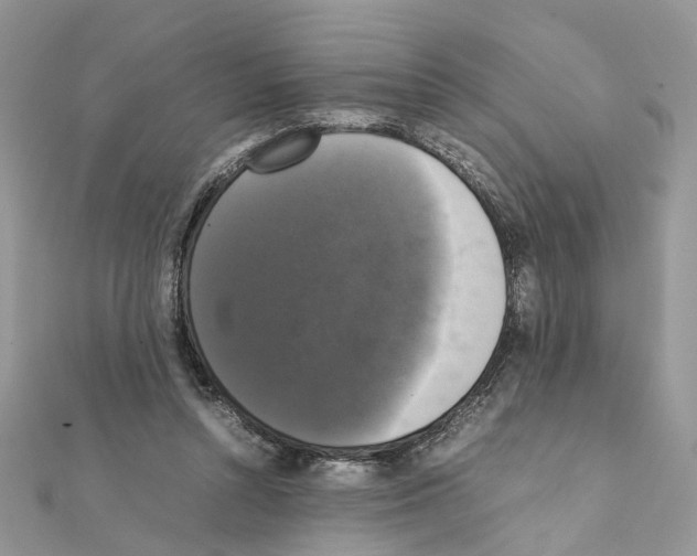 X0000111370352200908211323