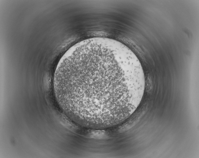 X0000111370355200908211323