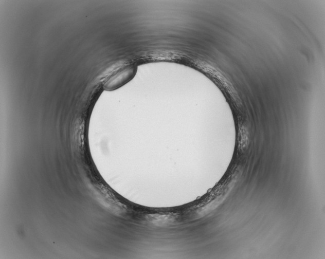 X0000111370356200908211323