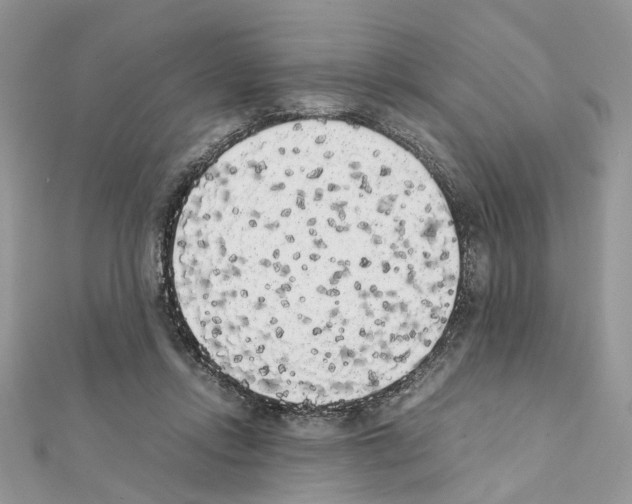 X0000111370358200908211323