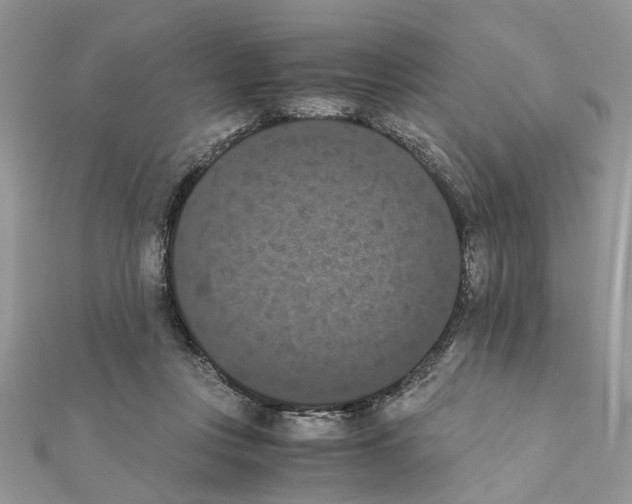 X0000111370359200908211323