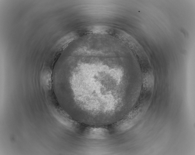 X0000111370360200908211323