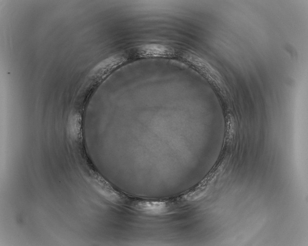 X0000111370361200908211323