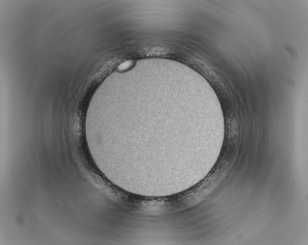 X0000111370362200908211323