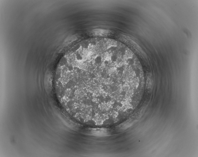 X0000111370363200908211323