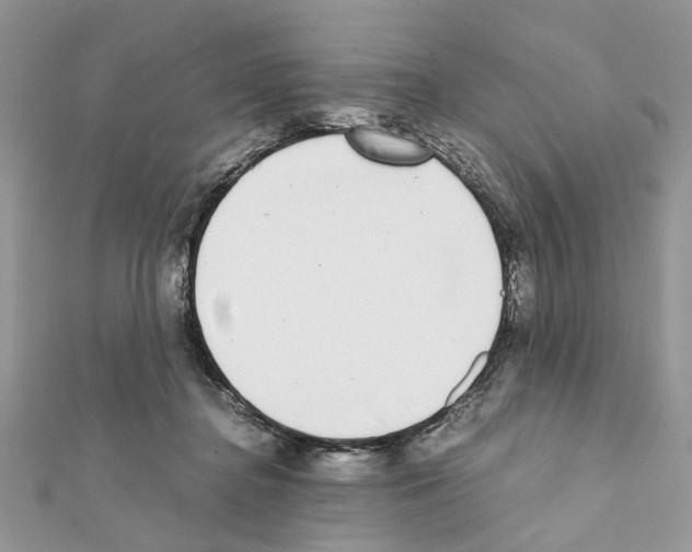X0000111370364200908211323