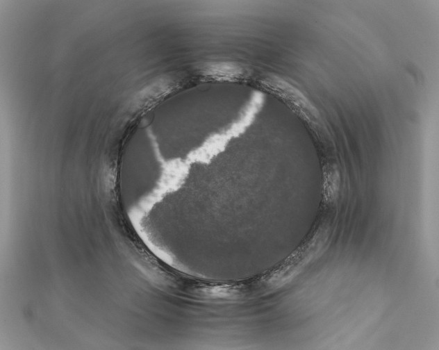 X0000111370365200908211323