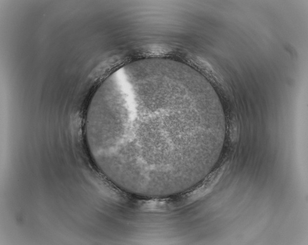 X0000111370366200908211323