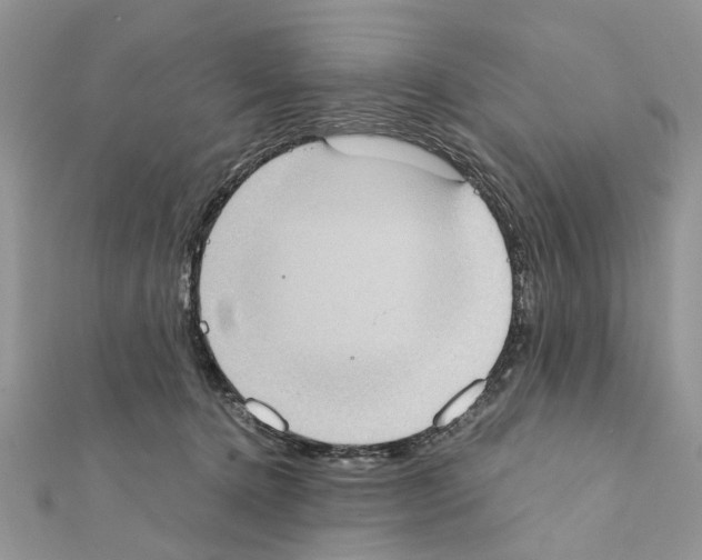 X0000111370368200908211323