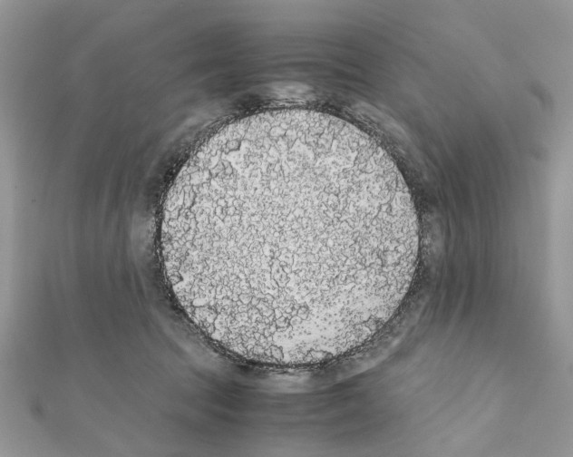 X0000111370369200908211323