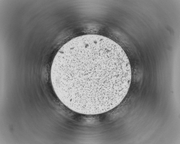 X0000111370370200908211323