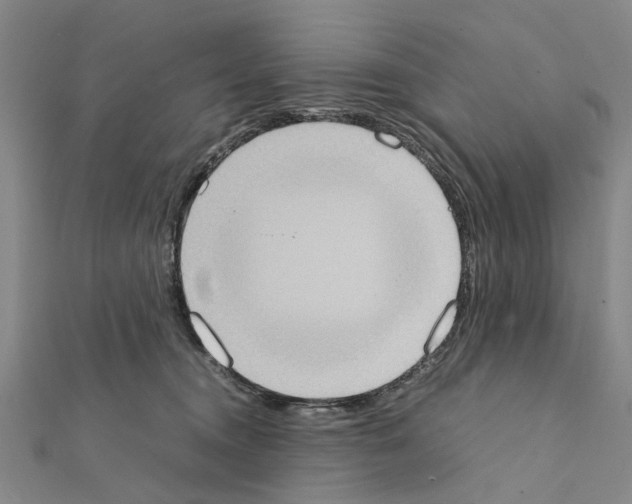 X0000111370372200908211323