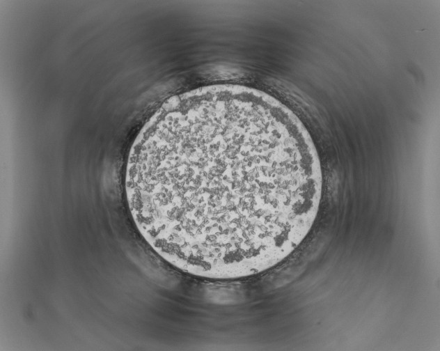 X0000111370373200908211323