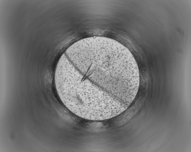 X0000111370374200908211323