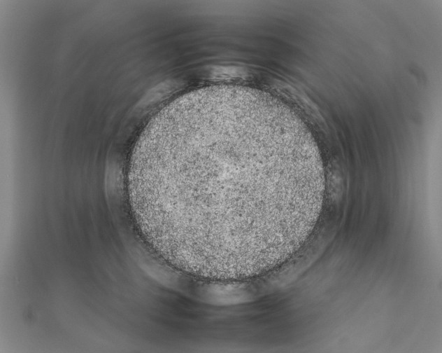 X0000111370375200908211323