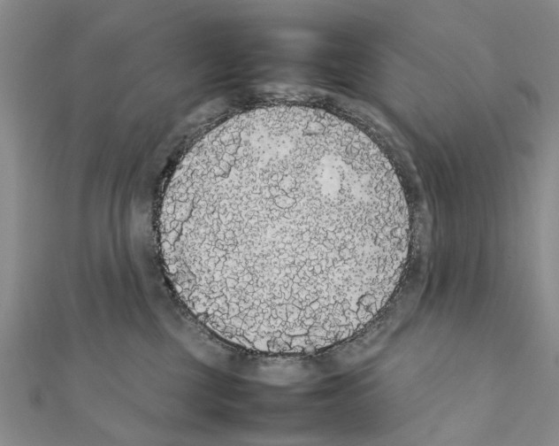 X0000111370377200908211323