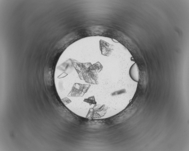 X0000111370378200908211323