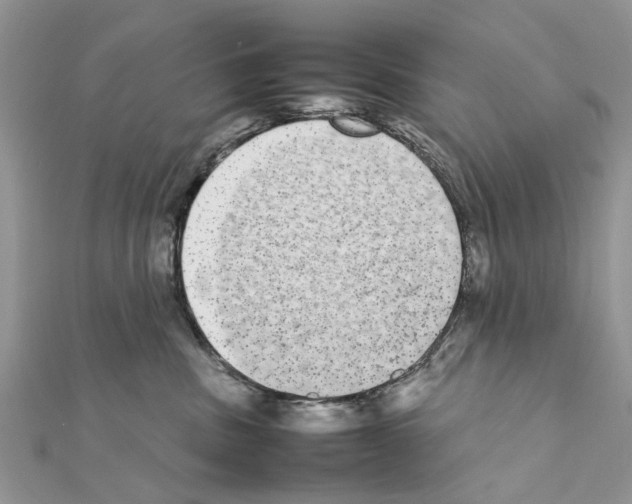 X0000111370379200908211323