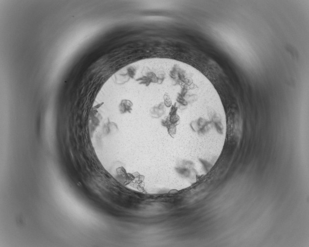 X0000111370381200908211323