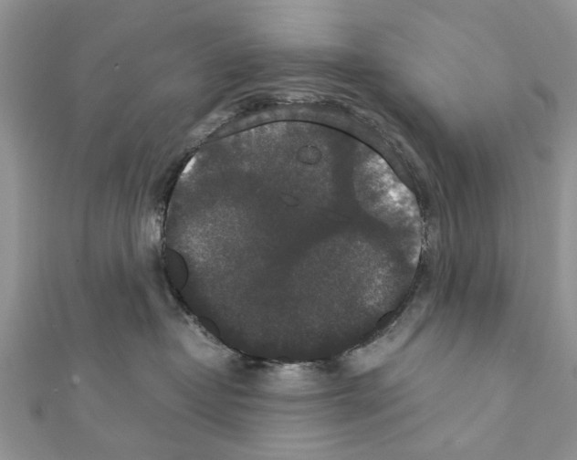 X0000111370382200908211323