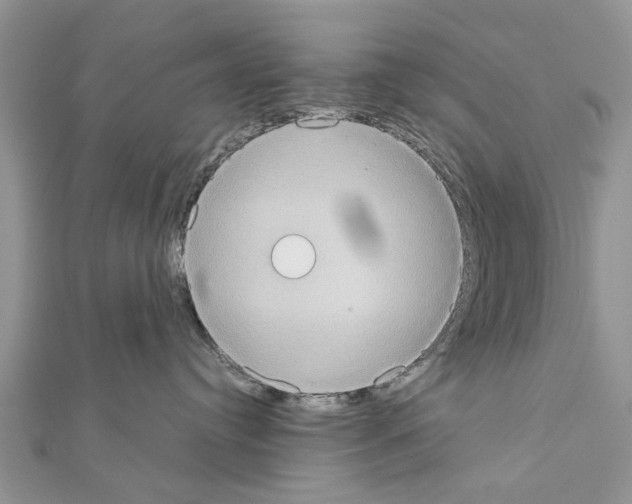 X0000111370384200908211324