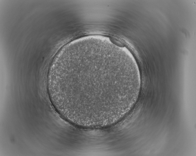 X0000111370385200908211323