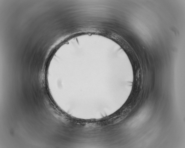 X0000111370388200908211323