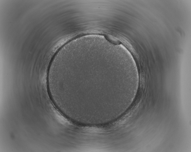 X0000111370389200908211323