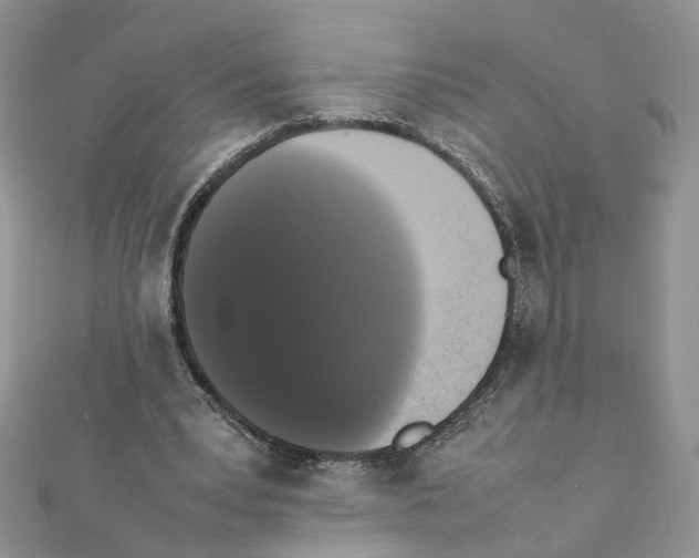 X0000111370391200908211323