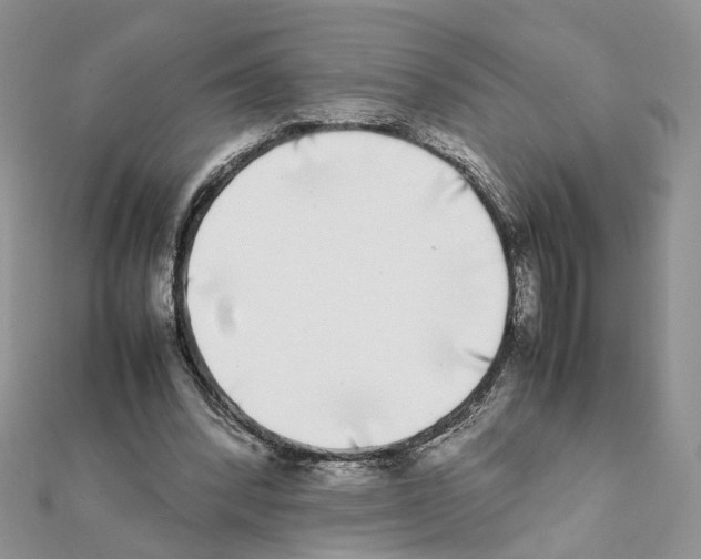X0000111370392200908211323