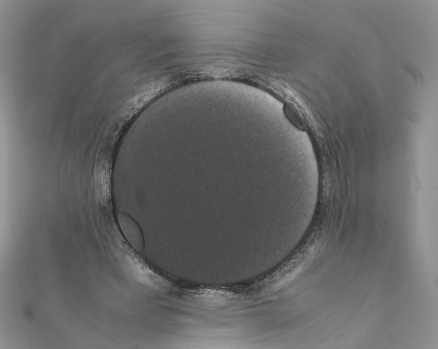 X0000111370393200908211323