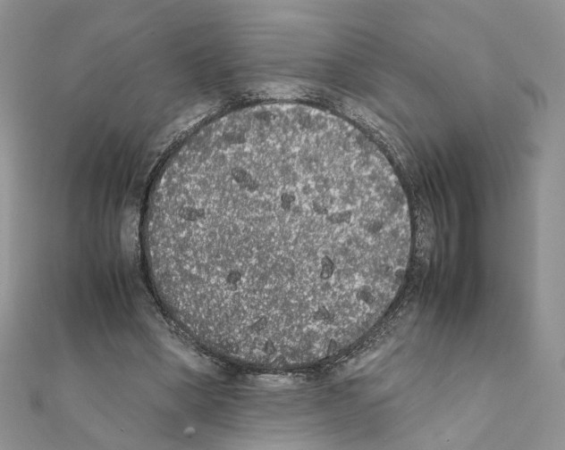 X0000111370394200908211323