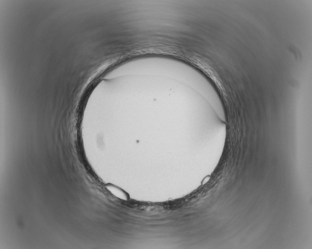X0000111370395200908211323