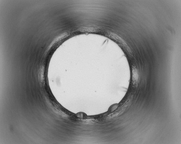 X0000111370396200908211323