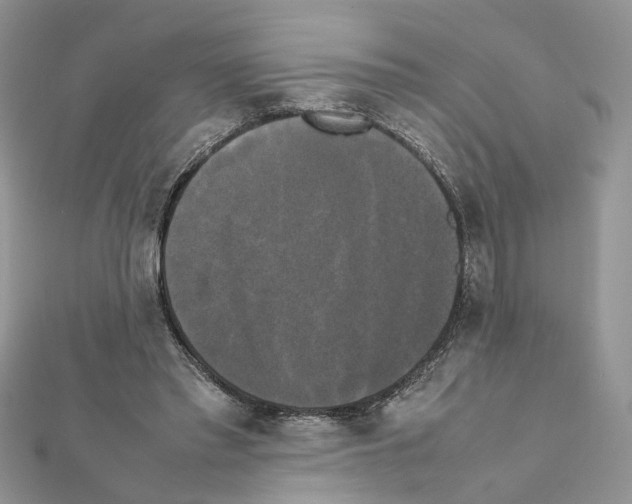 X0000111370397200908211323