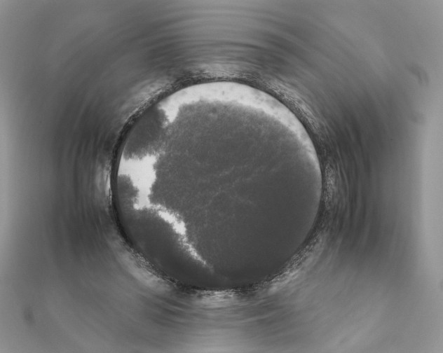 X0000111370398200908211323
