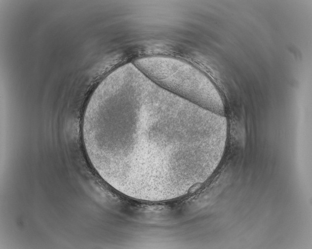 X0000111370401200908211323