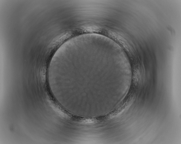 X0000111370402200908211323