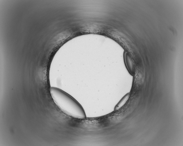 X0000111370403200908211323