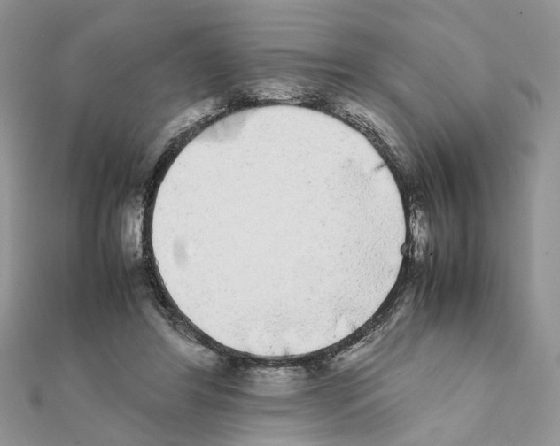 X0000111370404200908211323