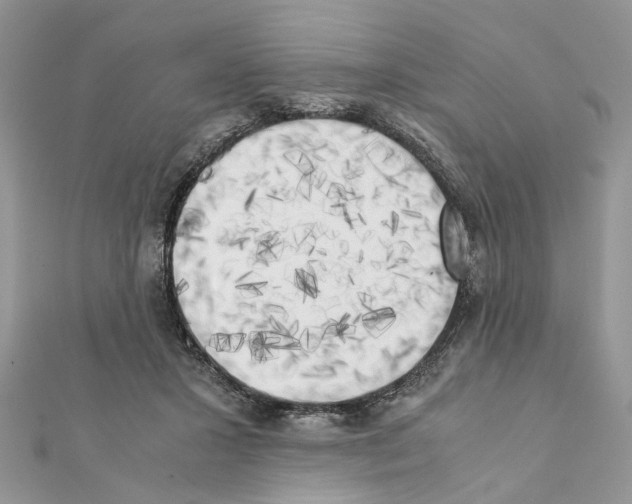 X0000111370407200908211323