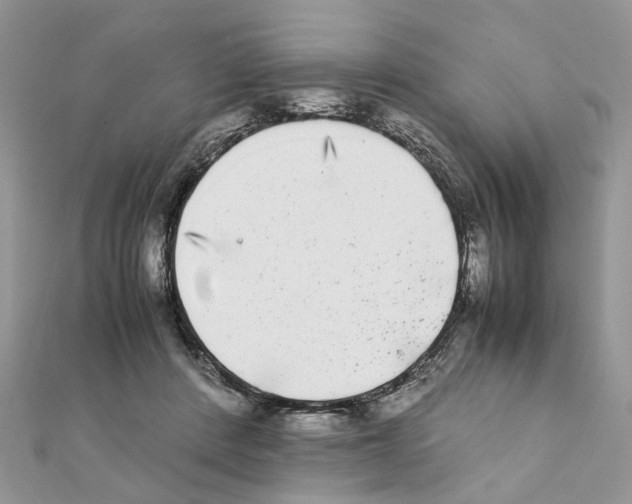 X0000111370408200908211323