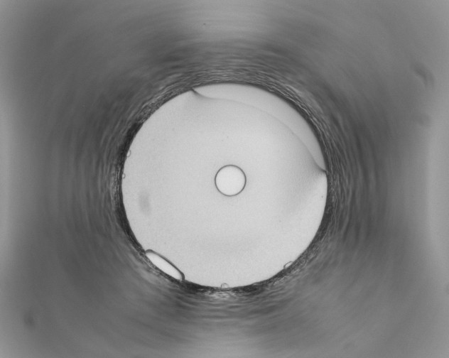X0000111370409200908211323