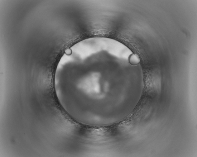X0000111370411200908211323