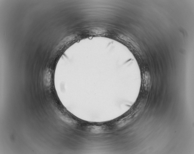 X0000111370412200908211323