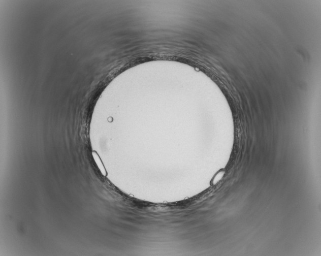 X0000111370419200908211322