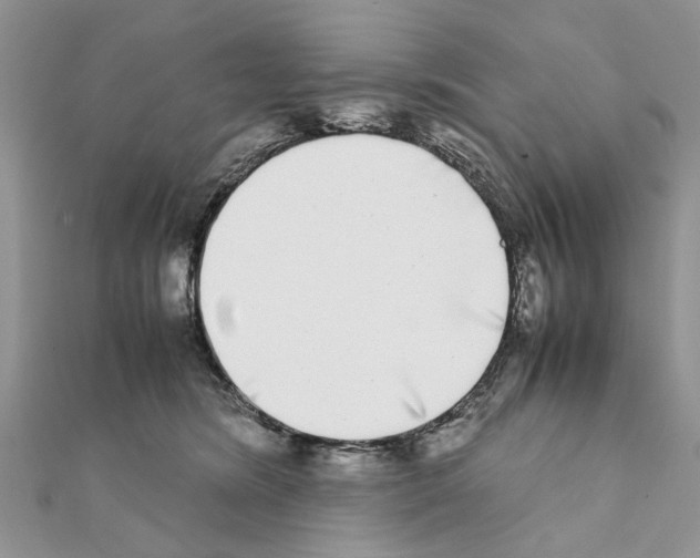 X0000111370420200908211322